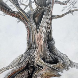 Jenn Clemons