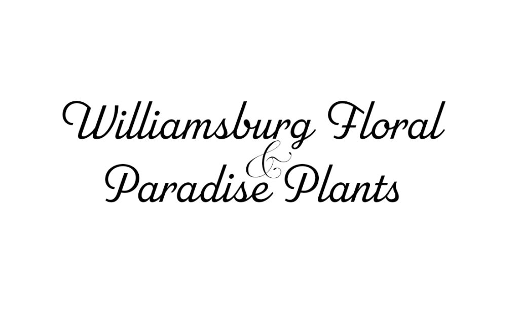 Williamsburg Floral & Paradise Plants